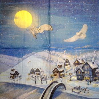 100 Winterlandschaft - 3-lagig (100)